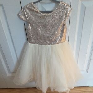 Sparkling Sequin and Tulle Dress